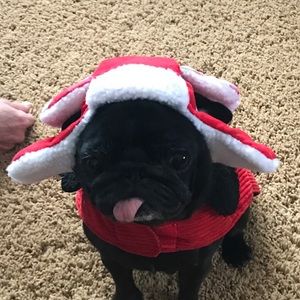 Meet your Posher, Jim